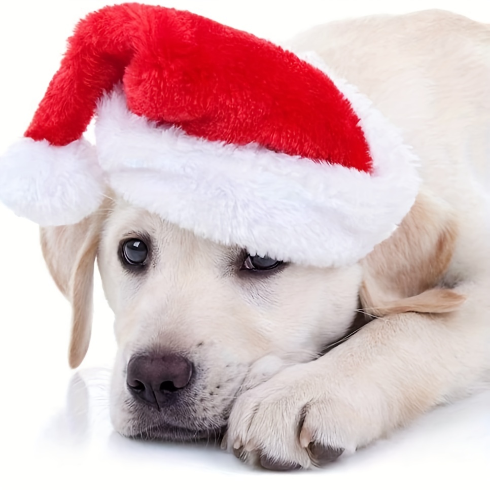 1-10PCS Gorro de Navidad de Lu - Santa Hat Plush reseña y precio